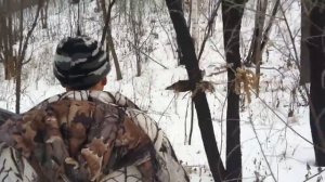 Охота на кабана в Приморском крае \ Hunt on boar in Primorskiy kray, Russia