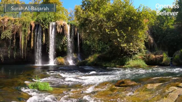 Surah Al-Baqarah (Mind relaxation whole night recitation for 11 hours) смотреть онлайн