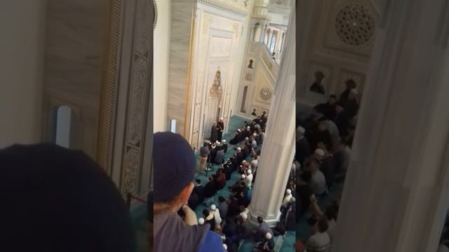 19 ноября 2017 г. смотреть онлайн