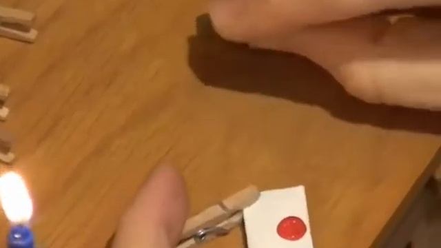 Самая маленькая в мире почта смотреть онлайн