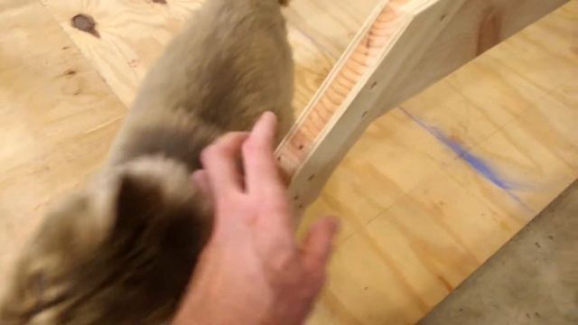 Runabout build #13 смотреть онлайн