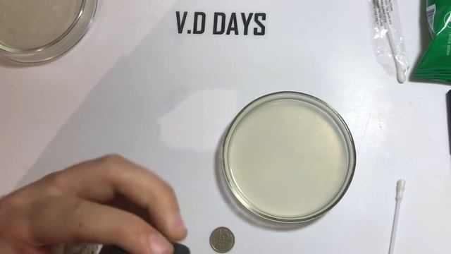 Как вырастить бактерии в чашке Петри | Опыты в домашних условиях по биологии l Эксперимент смотреть онлайн