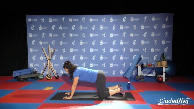 Pilates. Sesión 5 смотреть онлайн