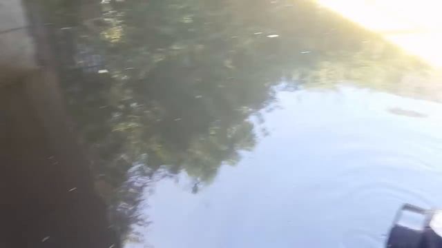 magnet fishing (we found a live bullet) смотреть онлайн