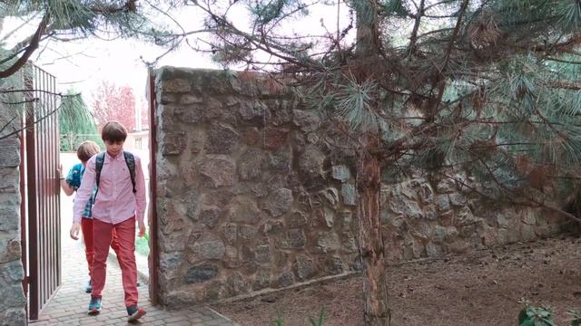 Мама в ударе. Стрижка пуделя под спираль.Часть 2 смотреть онлайн