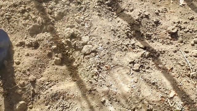 Дурная голова ни ногам, ни рукам покоя не дает или начинаем цветочный бизнес! смотреть онлайн