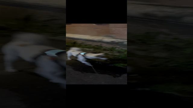 27-08-2024 смотреть онлайн