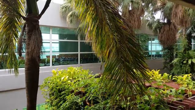 #Borneo #Tawau аэропорт смотреть онлайн