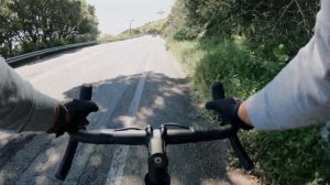 Syre Punkcake 1 Year Long Term Review.