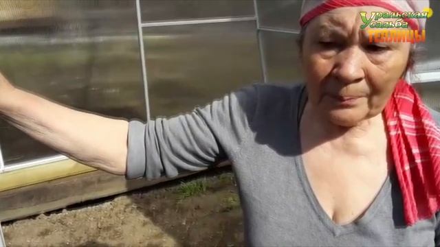 ТЕПЛИЦА ДОМИКОМ. СТЕНЫ 1,5 МЕТРА ВЫСОТОЙ. УСИЛЕННАЯ ТЕПЛИЦА.