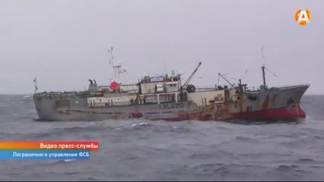 Российские пограничники предотвратили незаконную добычу краба смотреть онлайн