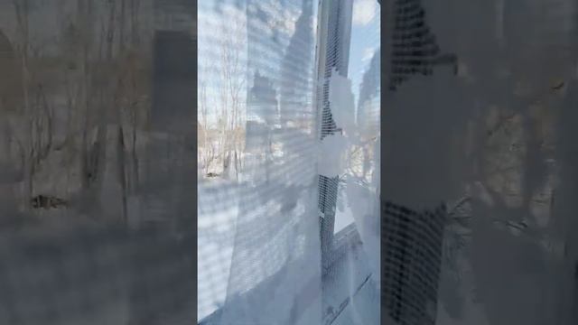 продажа дом Пупышево "Кедр-2" СНТ смотреть онлайн