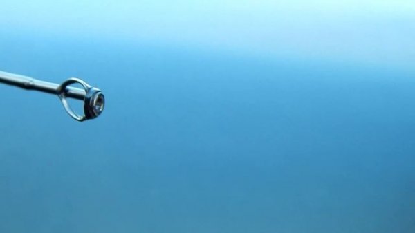 анбоксинг заказа из Spinningline.ru - кастинговое удилище Maximus Minigun 17UL (обзор с колес #65)