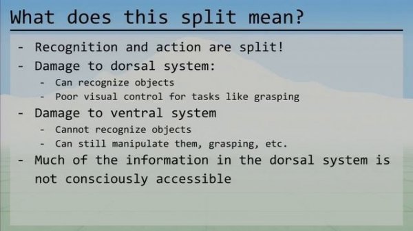 The Ancient Secrets of Computer Vision - 02 - Human Vision