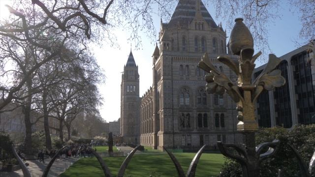 Natural History Museum London United Kingdom 4k Ultra HD смотреть онлайн