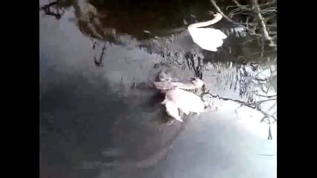 Вот оно что такое семейное счатьи и забота . смотреть онлайн