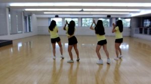 Pharrell Williams -Happy (Dance Practice Cover)