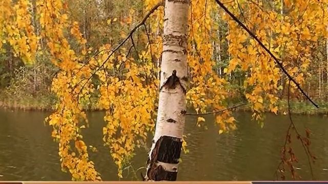 ОБЛАСТЬ ВЫБИРАЕТ