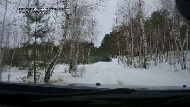 ПРОГУЛКА по зимнему лесу на Renault Duster смотреть онлайн