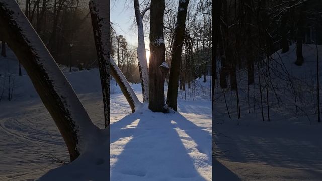 Январь в парке 2023