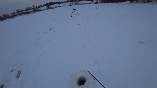 ОКУНЬ НА БАЛАНСИР ПО ПЕРВОМУ ЛЬДУ! зимняя рыбалка. смотреть онлайн