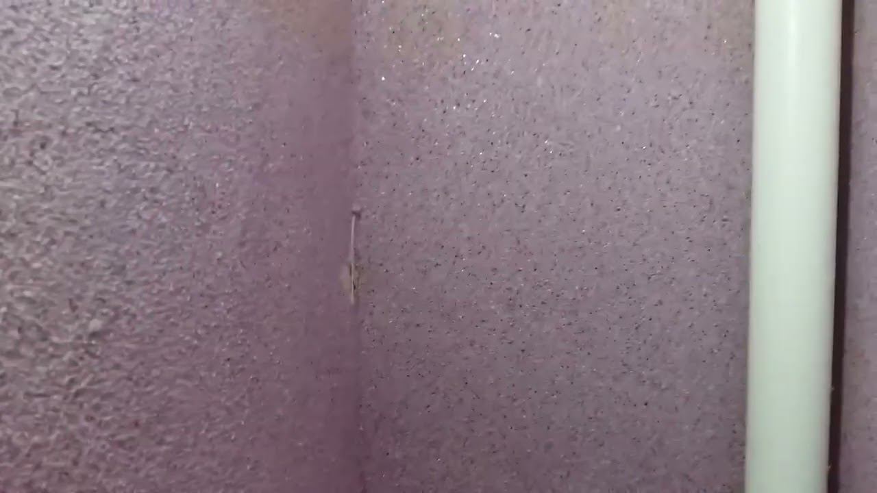 Жидкие обои. Туалет смотреть онлайн