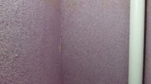 Жидкие обои. Туалет