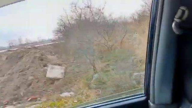 Салака. Отчёты. смотреть онлайн