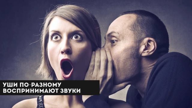 7 СПОСОБОВ ОБМАНУТЬ СВОЙ МОЗГ смотреть онлайн