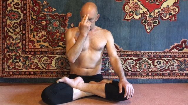 ADAMO YOGA UK - INTERMEDIATE PRANAYAMA AND CLEANSING EXERCISES [KRIYAS] смотреть онлайн