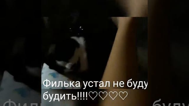 Филька устал не буду будить"кресло"часть 2 смотреть онлайн