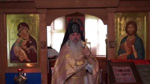 Защита психики - схиигумен Гавриил (Игумен N)