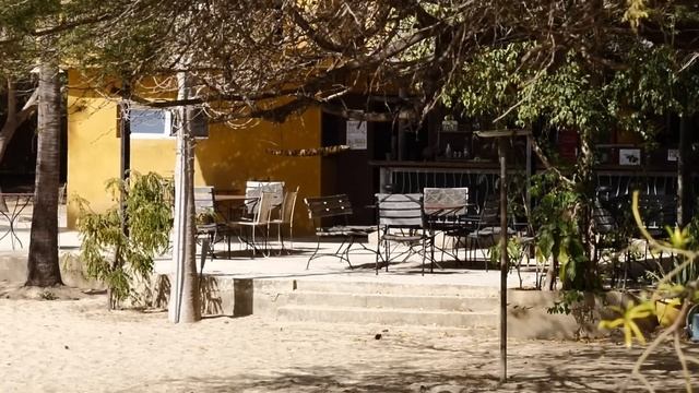 Mit Dem Kastenwagen Nach SENEGAL.  I VANLIFE Afrika