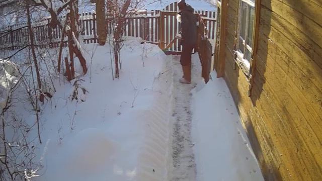 25 января 2024 г.(запись от 01.01.2024). смотреть онлайн