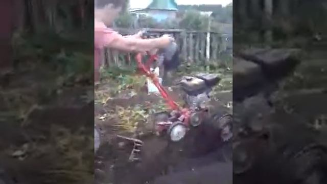 Копаем картошку мотоблоком Крот