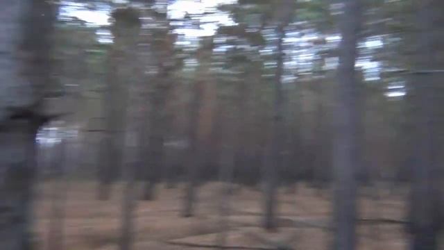 Ветер в лесу смотреть онлайн