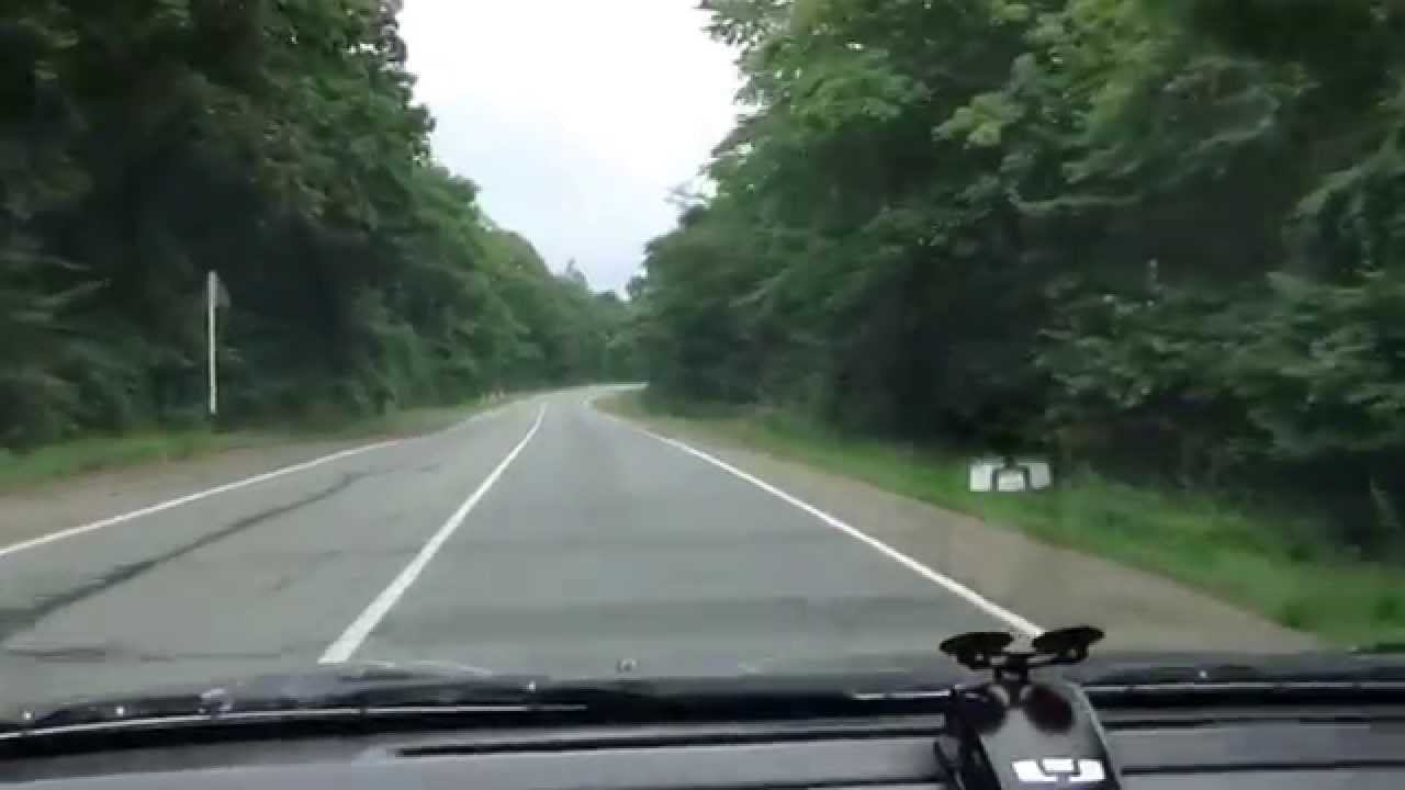 Через девственный лес. смотреть онлайн