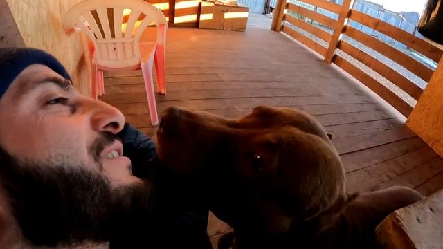 КОТ СОШОЛ СУМА !!! Кот Легенда не хочет глотать таблетку !!! Без комментариев. смотреть онлайн