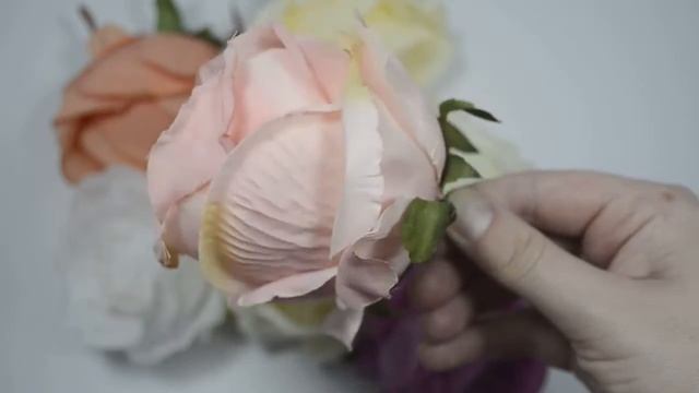 Роза большая, бутон// Rose big, bud смотреть онлайн