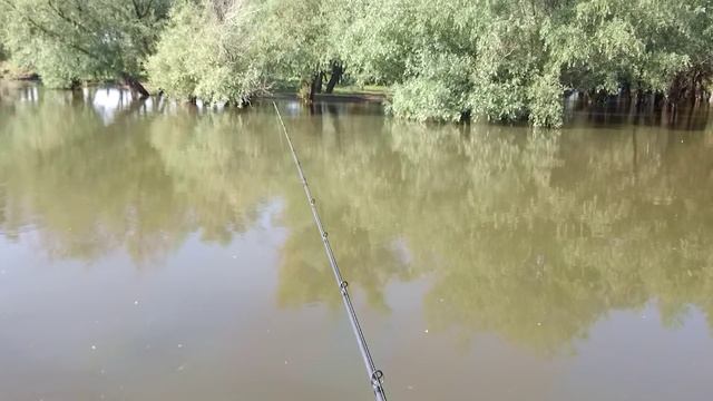 Рыбалка на Ахтубе в июне (мошка, джиг) смотреть онлайн