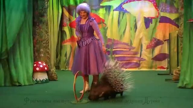 "Страна чудес" дедушки Дурова смотреть онлайн