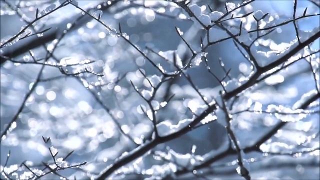 The Epiphany Guided Meditation | Nikita Mahlych смотреть онлайн