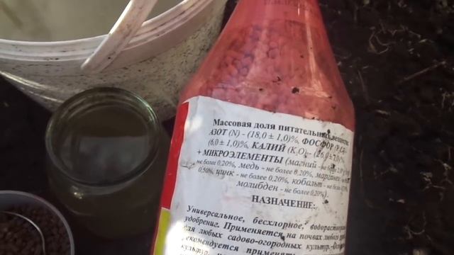 ЧЕМ ПОДКОРМИТЬ САМЫЕ ХИЛЫЕ ТОМАТЫ В ОТКРЫТОМ ГРУНТЕ? Ольга Чернова. смотреть онлайн