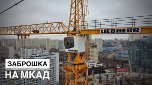 ЕЩЁ ОДНА ЗАБРОШКА на МКАД | Башенный кран Libherr | Забытый восемь лет назад...