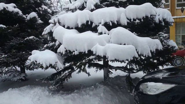 В Краснодаре выпал снег - как в Новосибирске снег сыпет! смотреть онлайн