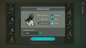 Гайд для новичка │ Легкий способ получить верного друга │ Last Day on Earth: Survival