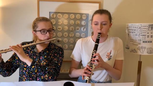 Somewhere over the rainbow - Flute and Clarinet Cover смотреть онлайн
