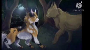 Коты Воители/ Кленовница/ песня Безболезненно