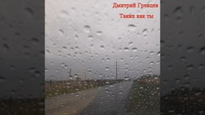 Дмитрий Гревцев - Таких как ты