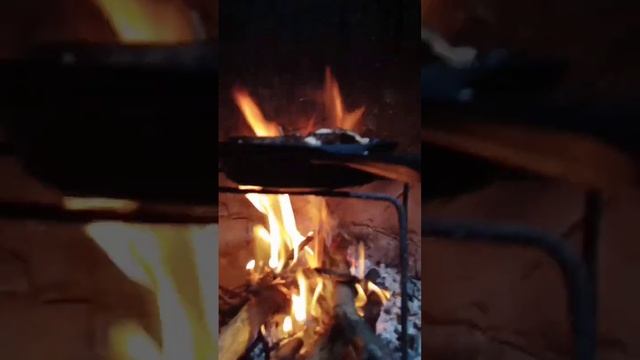 Привет из избушки ? Готовлю грибы в камине смотреть онлайн